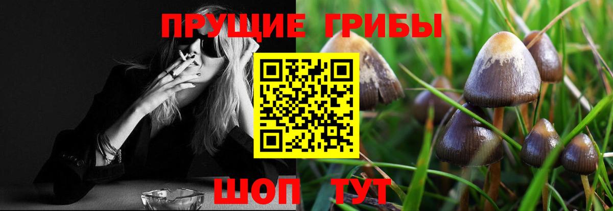 Псилоцибиновые грибы мухоморы  где найти наркотики  Железногорск  Вход с VPN 